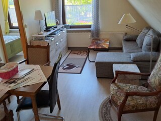 Wohnraum mit Schlafcouch