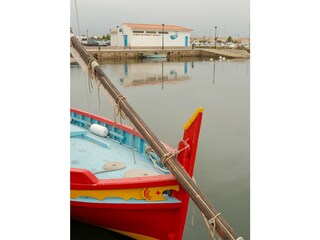 Fishing harbour in Gruissan Village