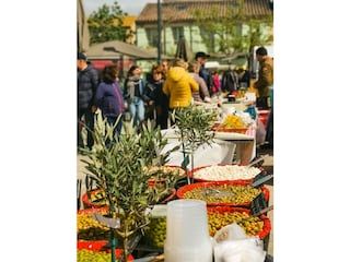 Market selling local products in Gruissan Village