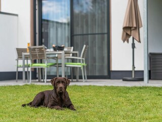 2 Hunde sind herzlich willkommen