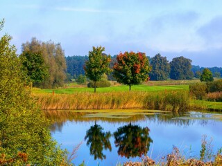 Natur pur