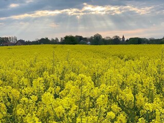 Natur pur