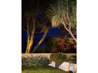 Stimmungsvoller Garten am Abend