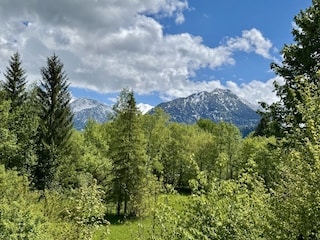 Ausblick vom Balkon