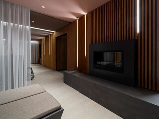 Kamin-/Ofen
