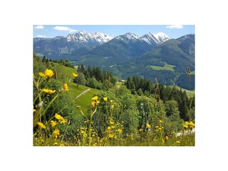 Frühling in den Alpen