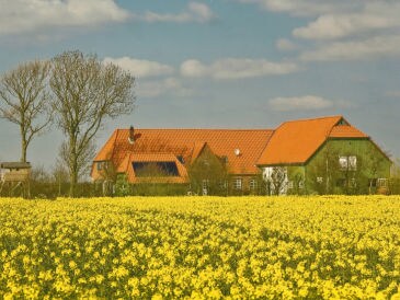 Ferienwohnung "Groode Stuv" - Hof Rungholt
