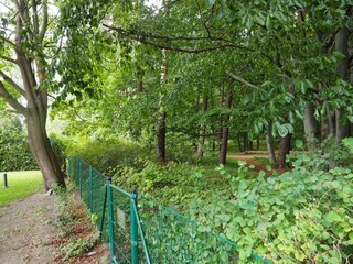 Zugang zum Stadtwald