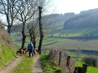 Casa per le vacanze Saint-Pierre-le-Vieux Ambiente 19