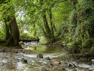 Casa per le vacanze Saint-Pierre-le-Vieux Registrazione all'aperto 7
