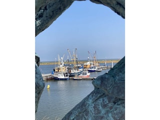 Casa per le vacanze Julianadorp Ambiente 37