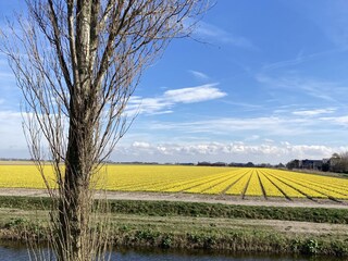 Casa per le vacanze Julianadorp Ambiente 33