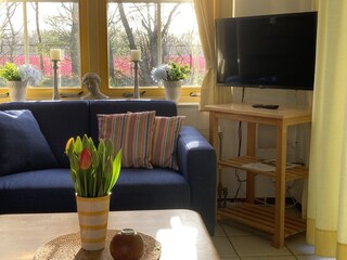 Casa per le vacanze Julianadorp Caratteristiche 15