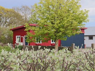 Ferienhaus Blixtorp Außenaufnahme 14