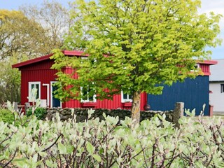 Ferienhaus Blixtorp Außenaufnahme 21