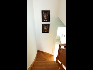 Appartement Hamont-Achel  25