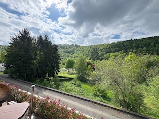 Holiday house La Roche-en-Ardenne Environment 50