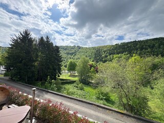 Maison de vacances La Roche-en-Ardenne Environnement 50