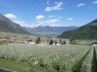 Appartamento per vacanze Partschins Ambiente 7