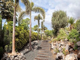 Villa Chayofa Enregistrement extérieur 14