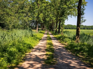 Ferienhaus Heeze-Leende Umgebung 28