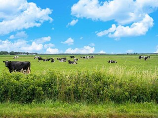Casa per le vacanze Hattem Ambiente 29