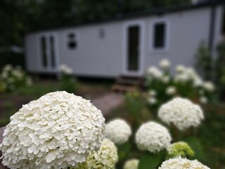 Casa per le vacanze Hattem Registrazione all'aperto 9