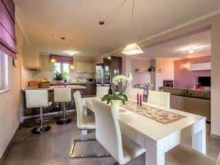 Villa Tinjan Caratteristiche 9