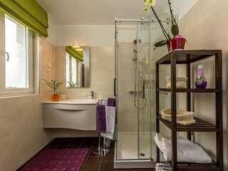 Villa Tinjan Caratteristiche 17