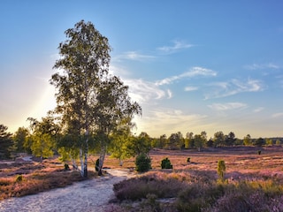 Unterwegs in der Ellerndorfer Heide