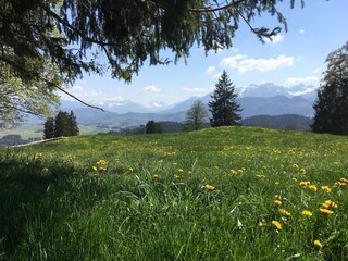 Apartamento de vacaciones Füssen Entorno 39