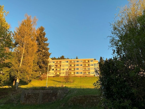 Apartment Ferienwohnung Rinkenblick
