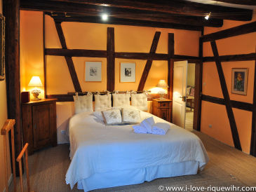 Holiday apartment RIESLING - Beautiful apartment with 2 BR in historical village Riquewihr
