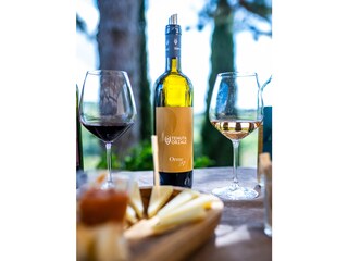 Casa per le vacanze Montaione Registrazione all'aperto 8