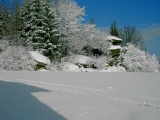 Holiday house Traunstein (Waldviertel) Environment 11