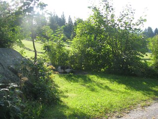 Holiday house Traunstein (Waldviertel) Environment 13