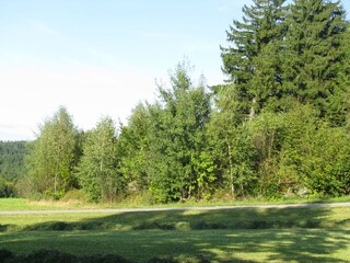 Holiday house Traunstein (Waldviertel) Environment 14