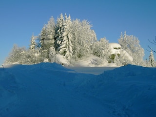 Holiday house Traunstein (Waldviertel) Environment 7