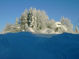 Winterwunderland im Waldviertel
