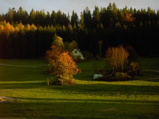 Herbstliche Grüße vom Ferienhaus Rosi!