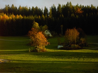 Holiday house Traunstein (Waldviertel) Environment 16