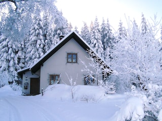 Holiday house Traunstein (Waldviertel) Outdoor Recording 3