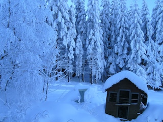 Holiday house Traunstein (Waldviertel) Environment 12