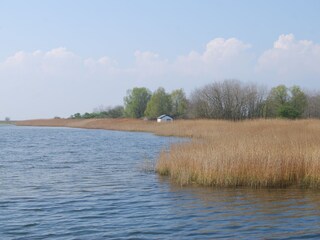 Boddenstrand ca. 7 Minuten zu Fuß vom Haus