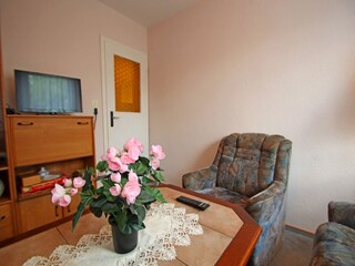 Appartamento Steffenshagen Caratteristiche 13