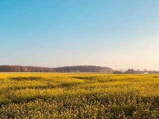 Casa de vacaciones Dümmer (Mecklenburg) Entorno 27