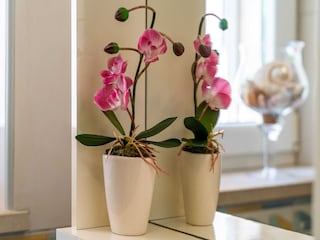 Apartamento Dubrovnik  27