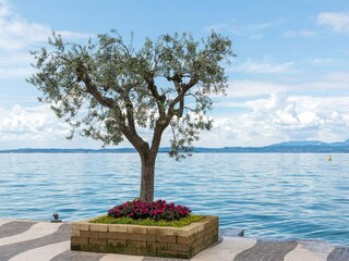 Casa de vacaciones Lazise Entorno 30