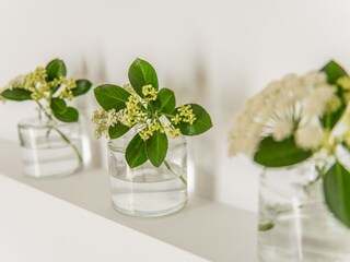 Appartamento per vacanze Naturns Caratteristiche 12