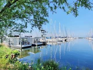 Maison flottante Almere Environnement 28
